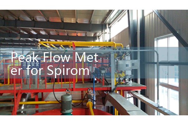 Peak Flow Meter for Spirometry: Clinical vs At-Home Pulmonary Test Tools